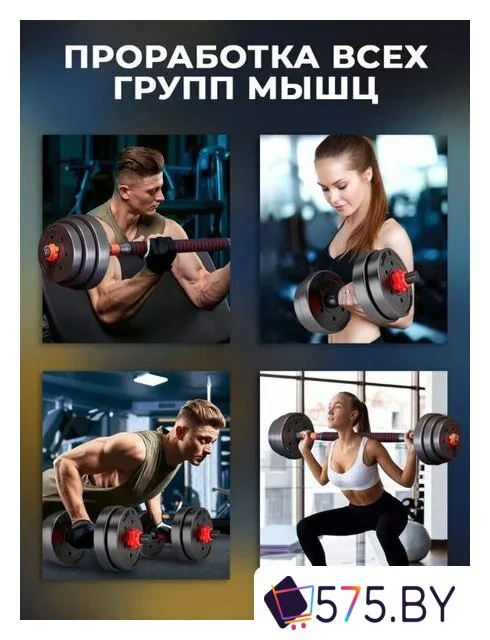 Набор гантелей Motiways с грифом 30 кг в магазине 575.by