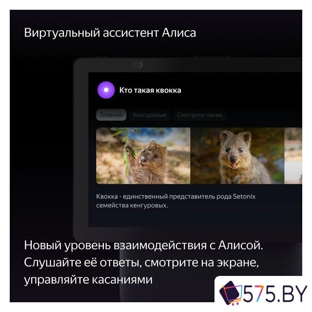 Колонка с умным дисплеем Яндекс Станция Дуо Макс (черный) в магазине 575.by