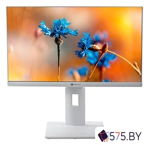 Моноблок ТЕСЛА P24WP 2416500 в магазине 575.by