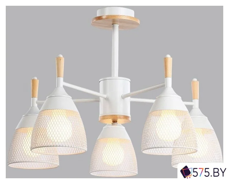 Подвесная люстра Sundays Home R-25 6211 (с лампами Е27 12W 4100K 5шт) в магазине 575.by