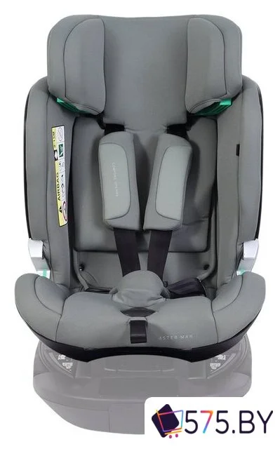 Детское автокресло Rant Aster Max AY969 (Olive) в магазине 575.by