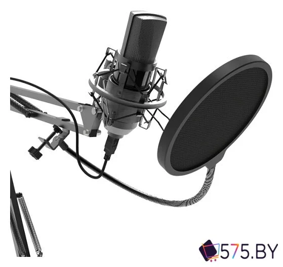 Проводной микрофон Ritmix RDM-180 в магазине 575.by