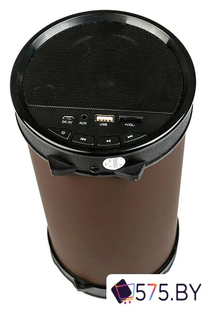 Беспроводная колонка Dialog AP-1000 в магазине 575.by