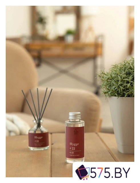 Жидкость для аромадиффузора Arida Home Hygge №22 Персик и пион (100мл) в магазине 575.by