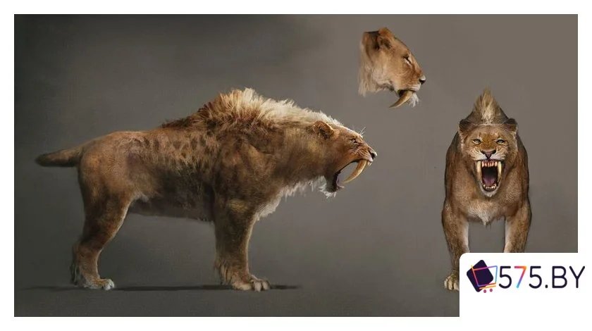 Игры для приставок PlayStation 4 Far Cry Primal в магазине 575.by