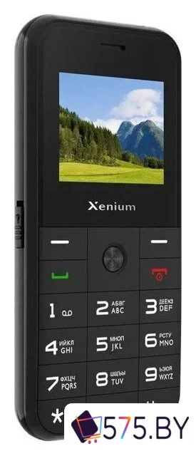 Кнопочный телефон Xenium X718 (черный)