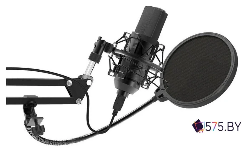 Проводной микрофон Ritmix RDM-169 в магазине 575.by