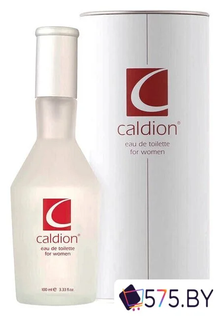 Туалетная вода Caldion For Woman EdT (100 мл) в магазине 575.by