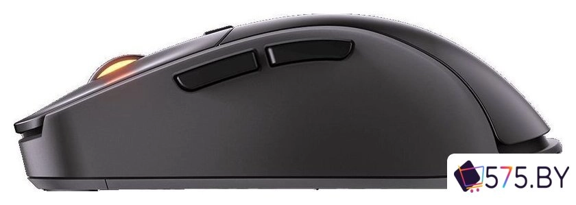 Игровая мышь Cougar Surpassion RX (черный) в магазине 575.by