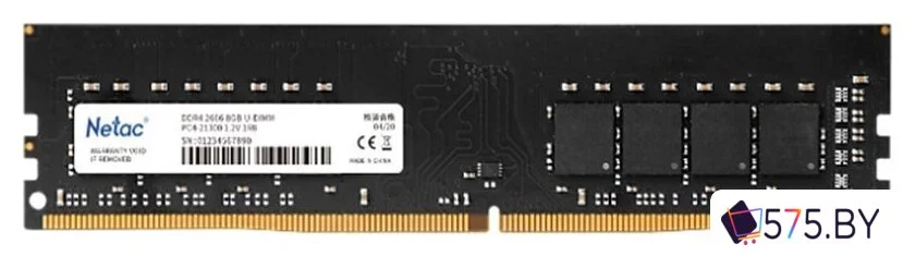 Оперативная память Netac Basic 16GB DDR4 PC4-25600 NTBSD4P32SP-16J в магазине 575.by