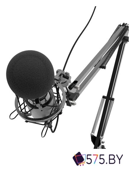 Проводной микрофон Ritmix RDM-180 в магазине 575.by