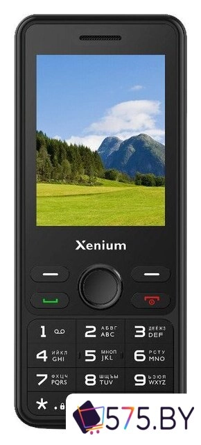 Кнопочный телефон Xenium X280 (черный)
