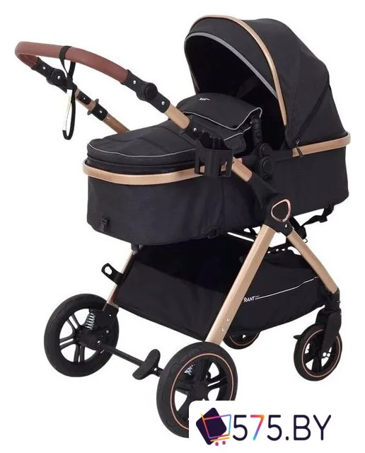 Универсальная коляска Rant Basic Roller Gold RA161 (2 в 1, black) в магазине 575.by