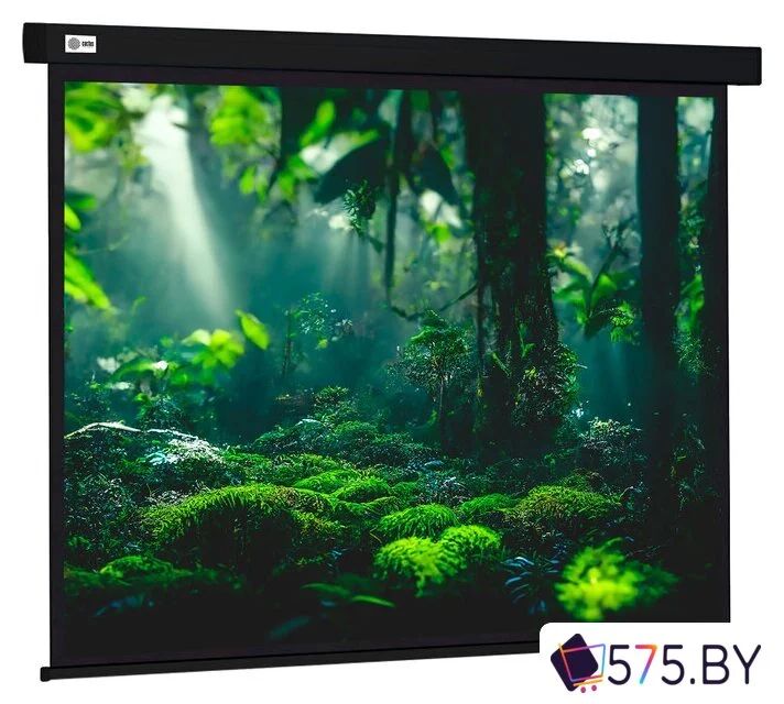 Проекционный экран CACTUS Wallscreen 213x213 CS-PSW-213X213-BK в магазине 575.by