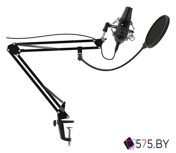 Проводной микрофон Ritmix RDM-180 в магазине 575.by