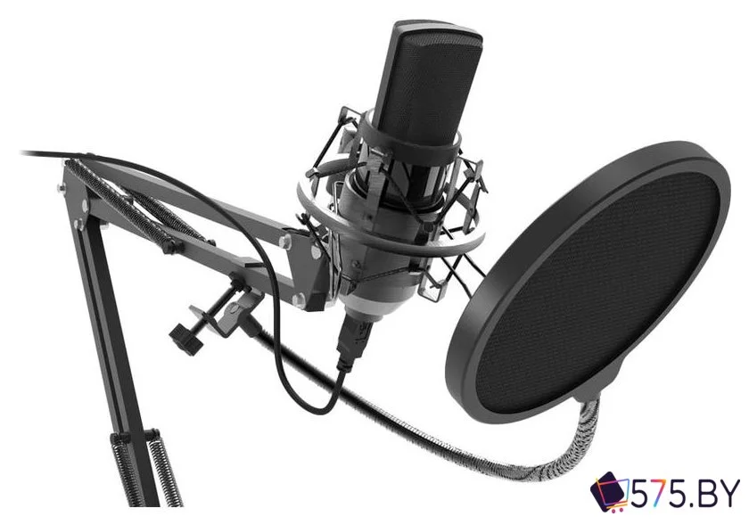 Проводной микрофон Ritmix RDM-169 в магазине 575.by