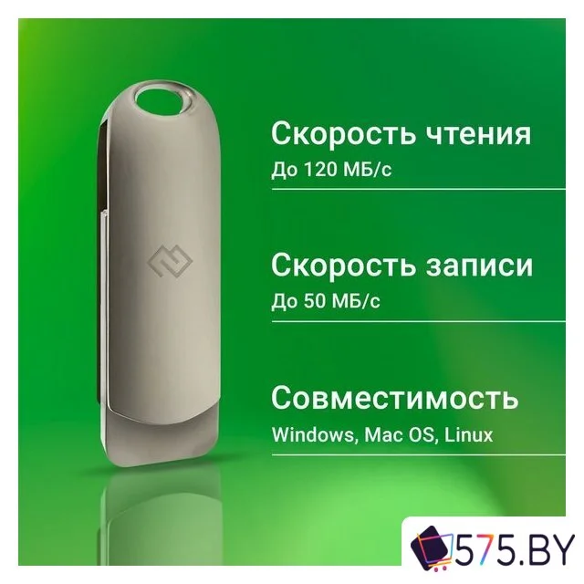 USB Flash Digma Drive 3 256GB DGFUM256A30SR в магазине 575.by