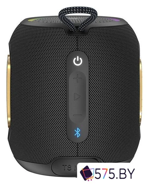 Беспроводная колонка Tronsmart T8 Mini (черный) в магазине 575.by