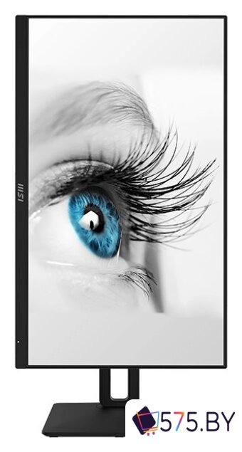 Игровой монитор MSI Pro MP242AP в магазине 575.by