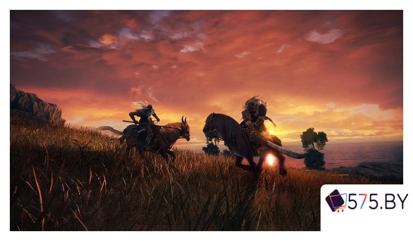 Игры для приставок PlayStation 5 Elden Ring в магазине 575.by