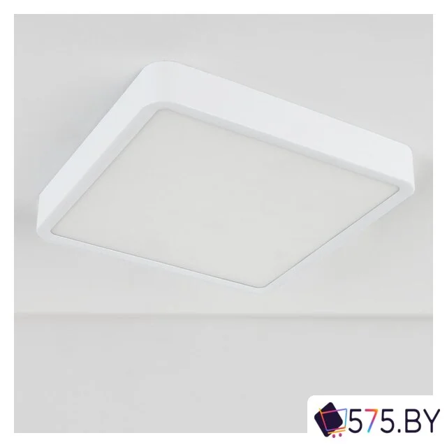 Светильник Elektrostandard DLS034 24W 4200K в магазине 575.by