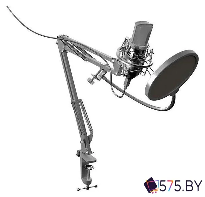 Проводной микрофон Ritmix RDM-169 в магазине 575.by