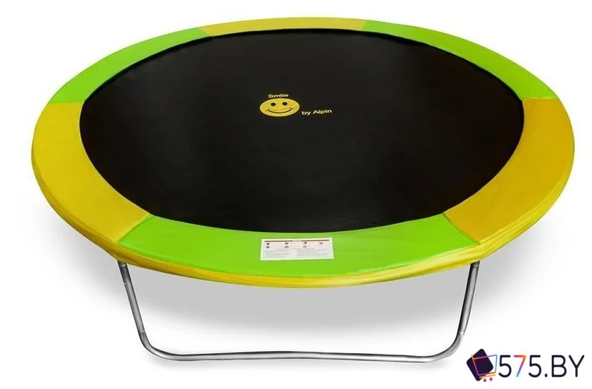 Батут Alpin ATGY-312 3.12 м с защитной сеткой и лестницей в магазине 575.by