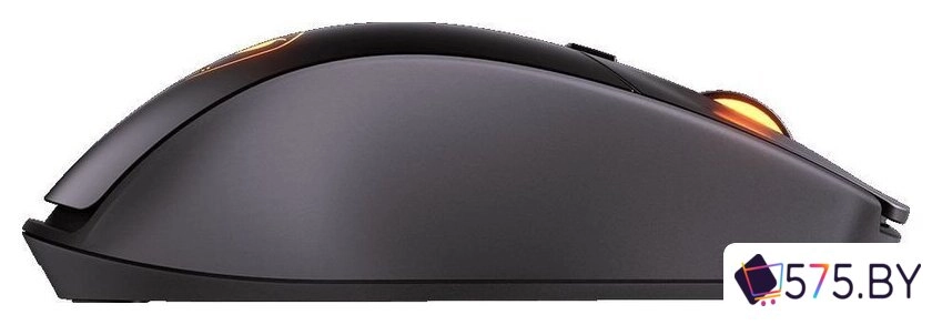 Игровая мышь Cougar Surpassion RX (черный) в магазине 575.by