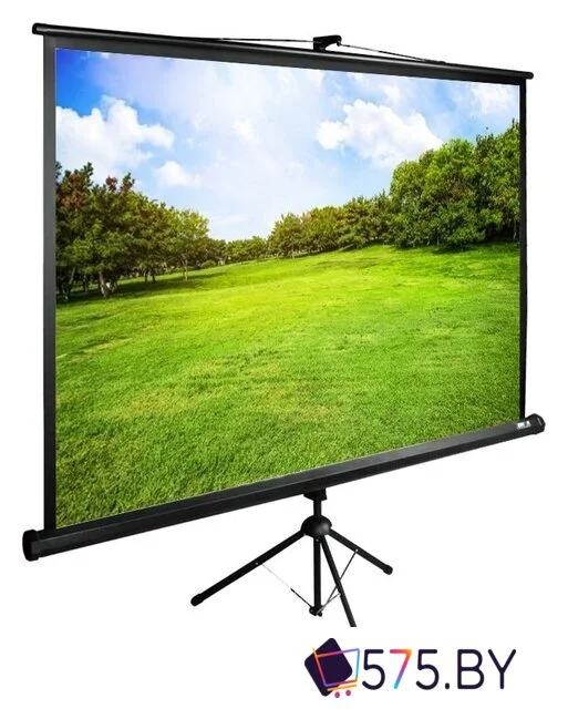 Проекционный экран CACTUS TriExpert 160x160 CS-PSTE-160x160-BK в магазине 575.by