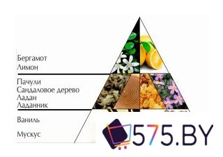 Духи Новая Заря Волшебство пачули (16 мл) в магазине 575.by