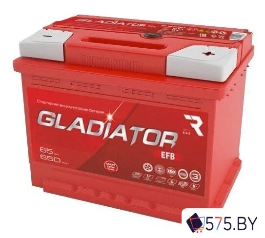 Автомобильный аккумулятор Gladiator EFB 65 R+ (65 А·ч) в магазине 575.by