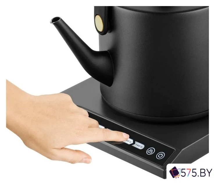 Электрический чайник Catler BM 501 Victoria в магазине 575.by
