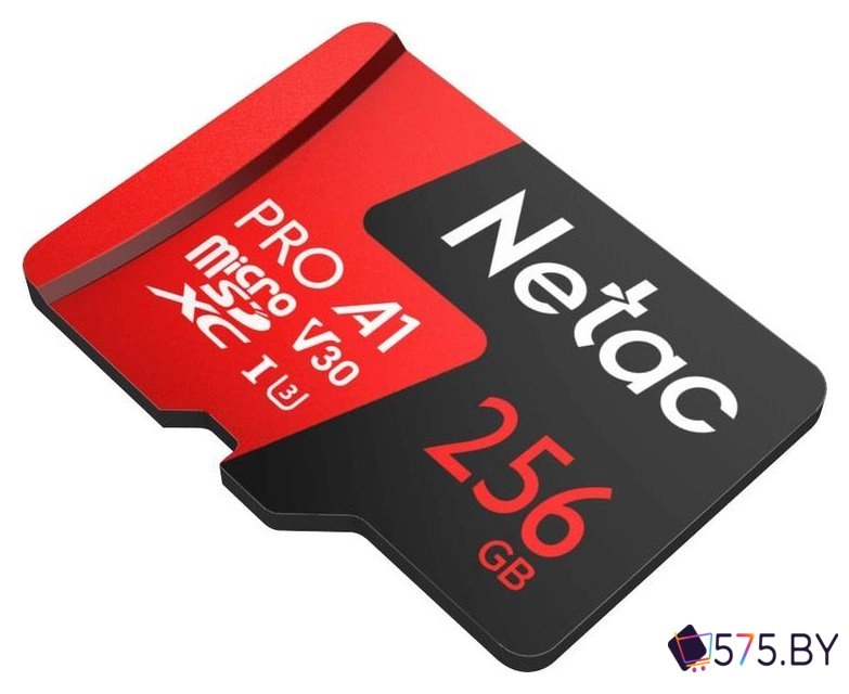 Карта памяти Netac P500 Extreme Pro 256GB NT02P500PRO-256G-S в магазине 575.by