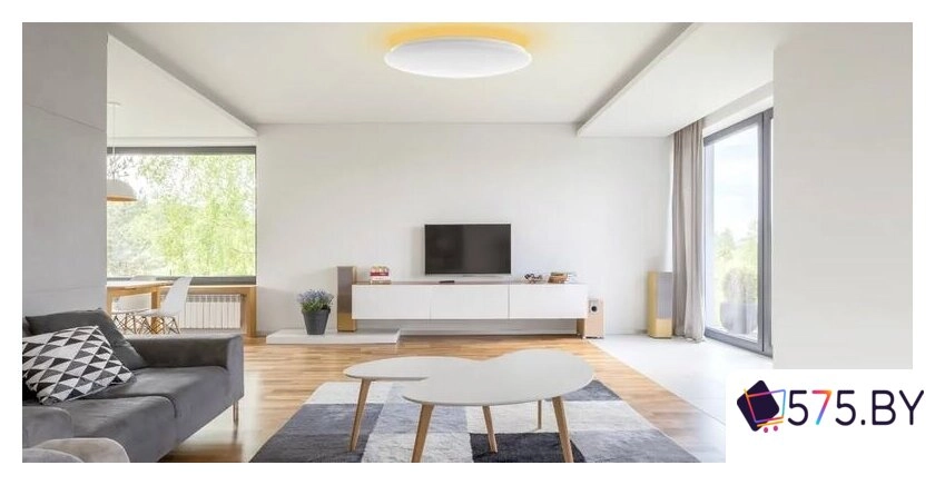 Светильник-тарелка Yeelight Arwen Ceiling Light 450C YLXD013-B в магазине 575.by