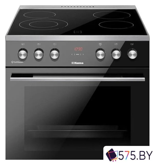 Кухонная плита Hansa FCCL69225 в магазине 575.by