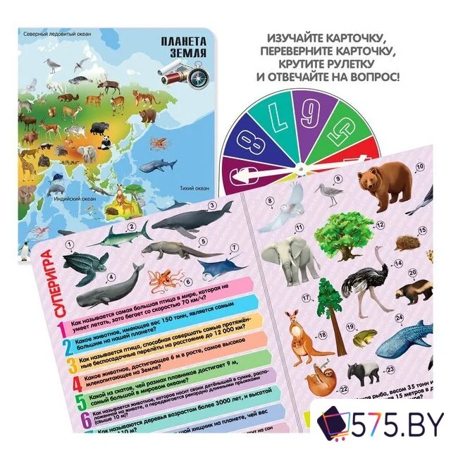 Детская настольная игра Bondibon Увлекательный мир животных и природы ВВ5551 в магазине 575.by