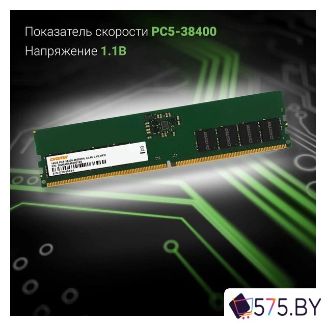 Оперативная память Digma 16ГБ DDR5 4800 МГц DGMAD54800016S в магазине 575.by