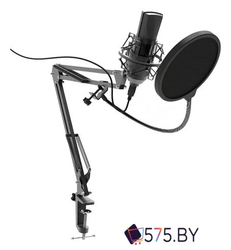 Проводной микрофон Ritmix RDM-180 в магазине 575.by