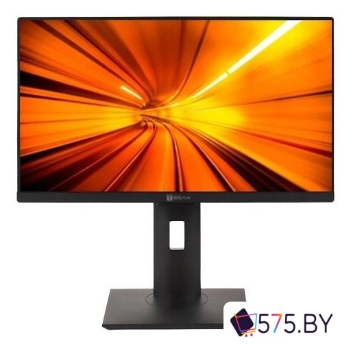 Моноблок ТЕСЛА P24BP 2416500 в магазине 575.by