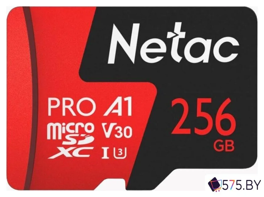 Карта памяти Netac P500 Extreme Pro 256GB NT02P500PRO-256G-S в магазине 575.by