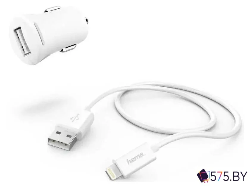 Автомобильное зарядное Hama 183266 в магазине 575.by