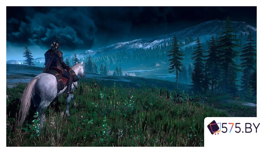Игры для приставок PlayStation 4 The Witcher 3: Wild Hunt. Game Of The Year Edition (русские субтитры) в магазине 575.by