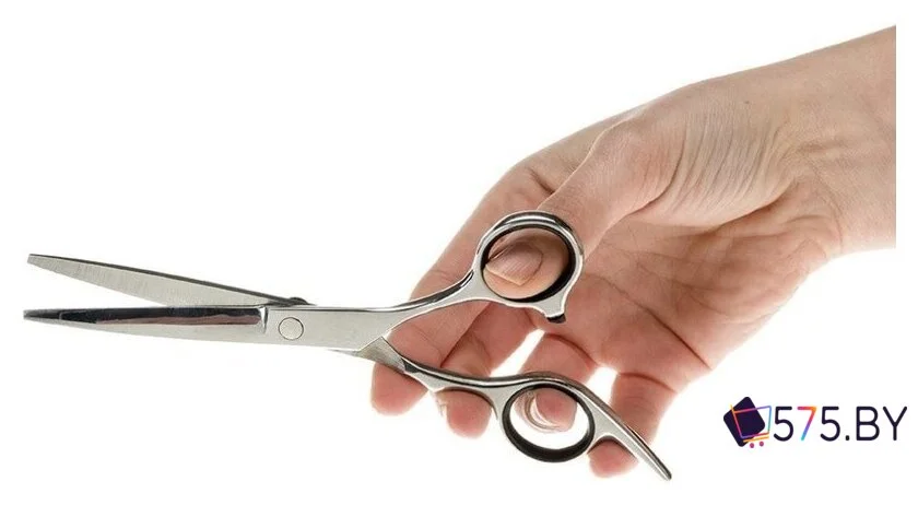 Ножницы Ferplast Gro 5785 Premium 85785899 в магазине 575.by