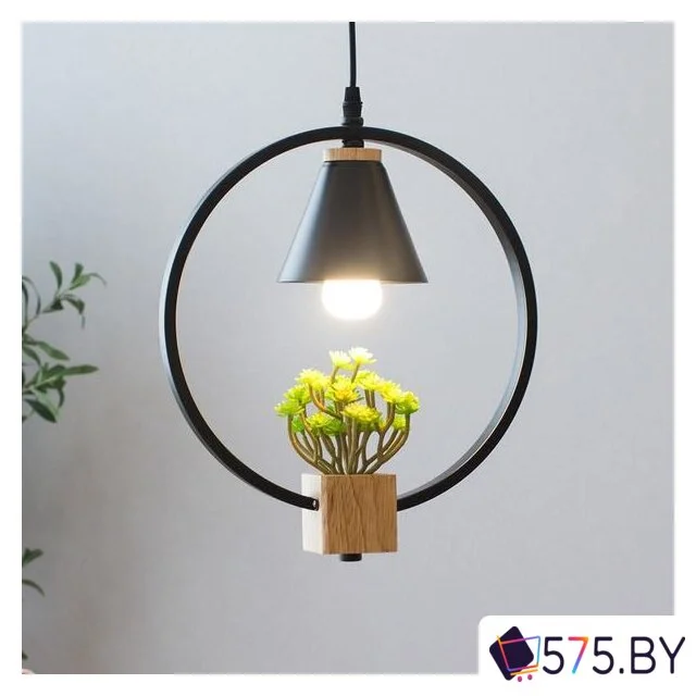 Подвесная люстра Home Light Астерия A042-2-В в магазине 575.by