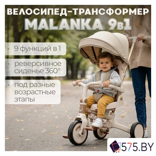 Детский велосипед Bubago Malanka BG 211-2 (коричневый) в магазине 575.by