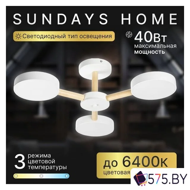 Припотолочная люстра Sundays Home 240924-22 5849 в магазине 575.by