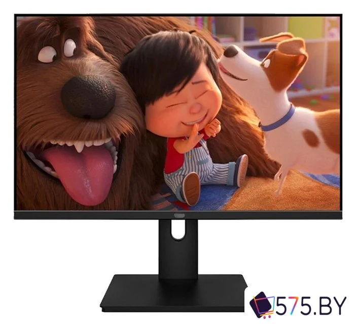 Монитор Aiwa MF2203 в магазине 575.by