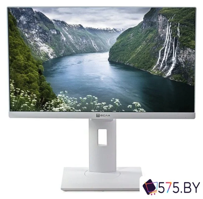 Моноблок ТЕСЛА P27WPQ 2416500 в магазине 575.by