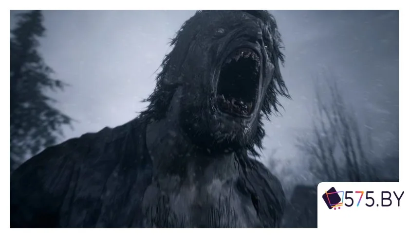 Игры для приставок PlayStation 5 Resident Evil Village в магазине 575.by