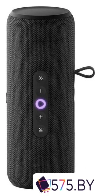 Умная колонка Яндекс Станция Стрит (черный) в магазине 575.by